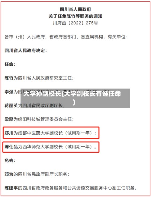 大学孙副校长(大学副校长有谁任命)