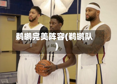 鹈鹕完美阵容(鹈鹕队)-第3张图片
