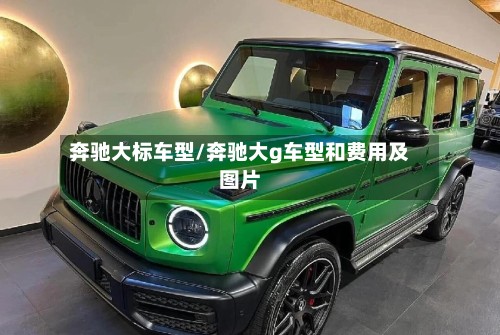 奔驰大标车型/奔驰大g车型和费用及图片