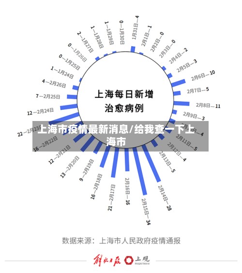 上海市疫情最新消息/给我查一下上海市-第2张图片
