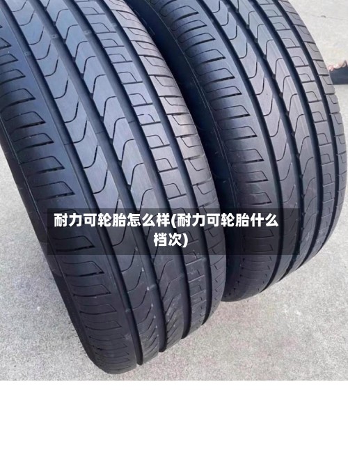 耐力可轮胎怎么样(耐力可轮胎什么档次)-第2张图片