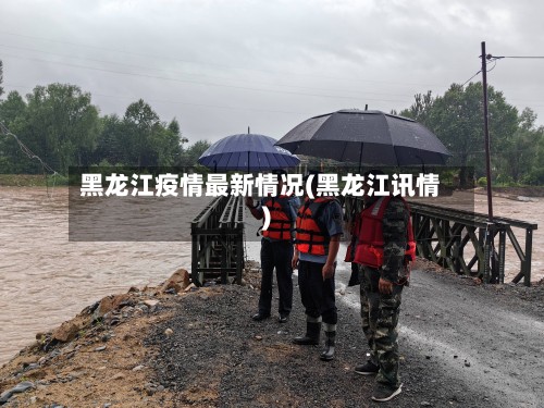 黑龙江疫情最新情况(黑龙江讯情)-第2张图片