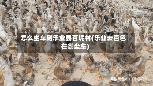 怎么坐车到乐业县百坭村(乐业去百色在哪坐车)