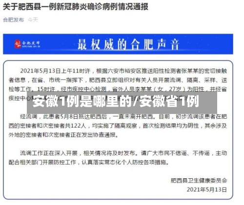 安徽1例是哪里的/安徽省1例-第3张图片