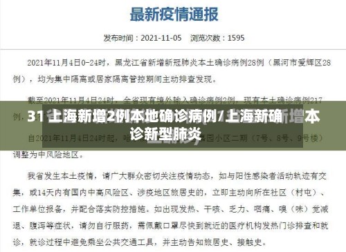 上海新增2例本地确诊病例/上海新确诊新型肺炎-第2张图片