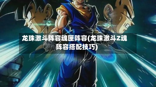 龙珠激斗阵容魂匣阵容(龙珠激斗Z魂阵容搭配技巧)