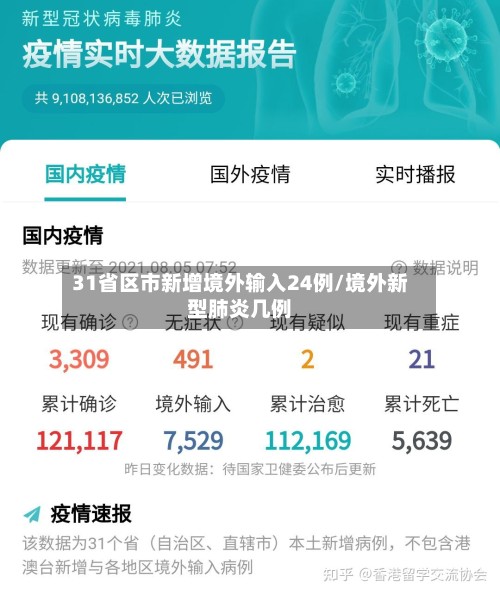 31省区市新增境外输入24例/境外新型肺炎几例