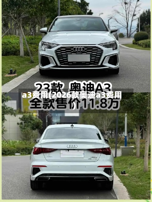 a3费用(2026款奥迪a3费用)-第3张图片