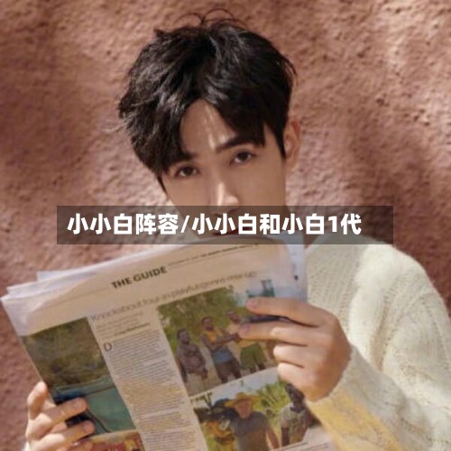小小白阵容/小小白和小白1代-第2张图片