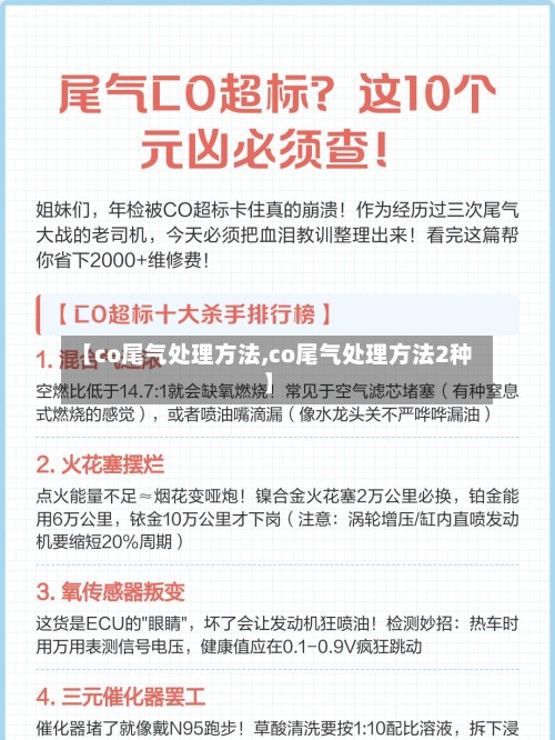 【co尾气处理方法,co尾气处理方法2种】