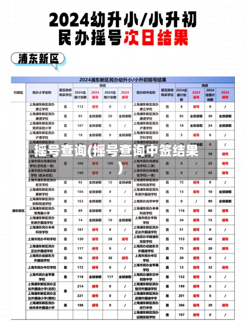 摇号查询(摇号查询中签结果)-第3张图片