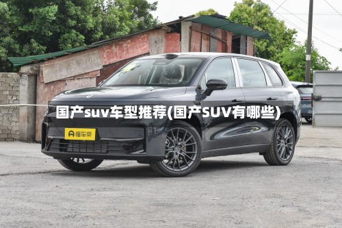 国产suv车型推荐(国产SUV有哪些)-第2张图片