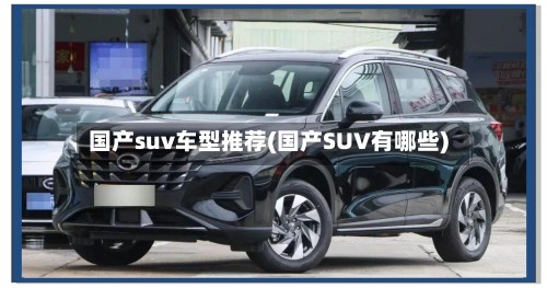 国产suv车型推荐(国产SUV有哪些)-第3张图片