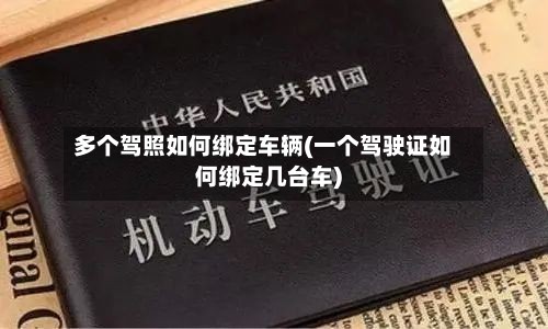多个驾照如何绑定车辆(一个驾驶证如何绑定几台车)