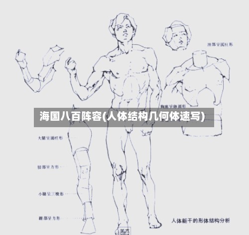 海国八百阵容(人体结构几何体速写)-第2张图片