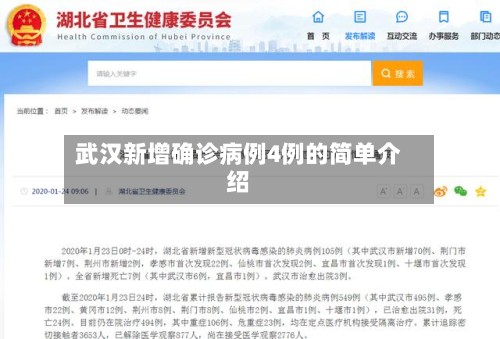 武汉新增确诊病例4例的简单介绍-第2张图片