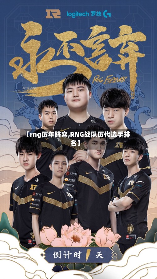 【rng历年阵容,RNG战队历代选手排名】-第2张图片