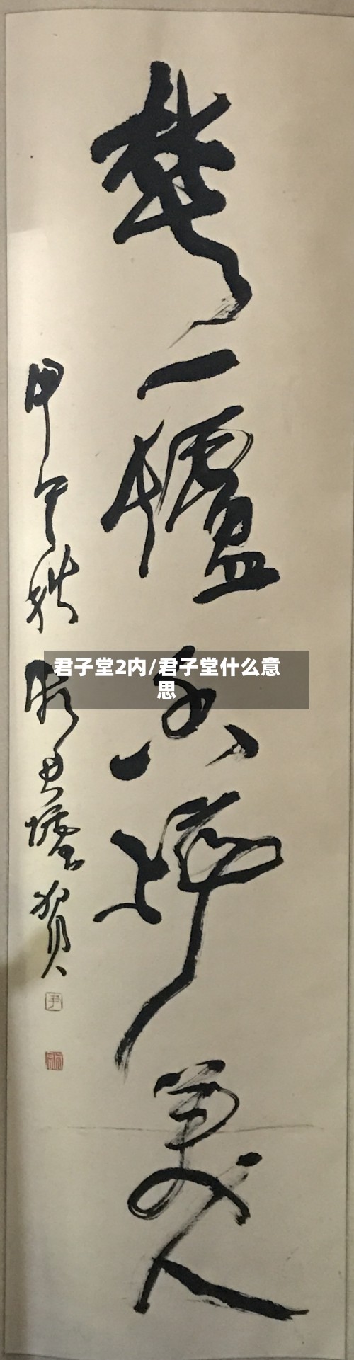 君子堂2内/君子堂什么意思-第3张图片