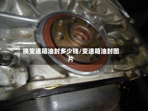 换变速箱油封多少钱/变速箱油封图片-第3张图片