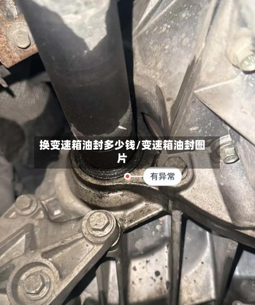 换变速箱油封多少钱/变速箱油封图片