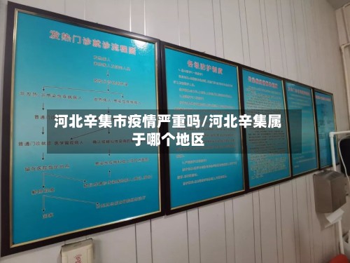河北辛集市疫情严重吗/河北辛集属于哪个地区