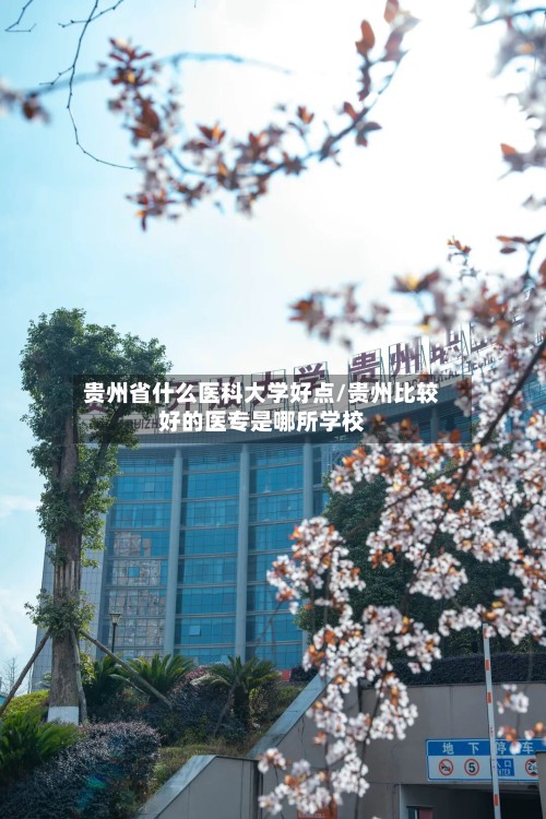 贵州省什么医科大学好点/贵州比较好的医专是哪所学校