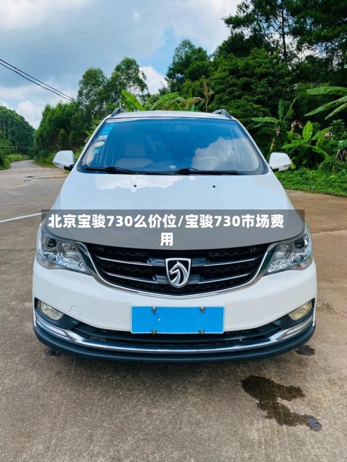 北京宝骏730么价位/宝骏730市场费用-第2张图片