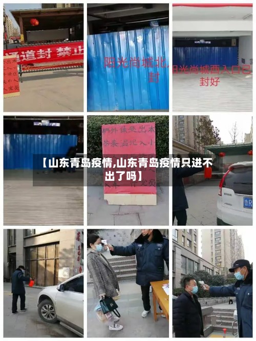 【山东青岛疫情,山东青岛疫情只进不出了吗】-第2张图片