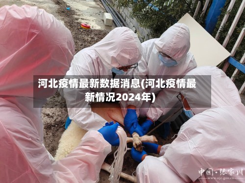 河北疫情最新数据消息(河北疫情最新情况2024年)-第2张图片