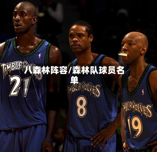 八森林阵容/森林队球员名单-第3张图片