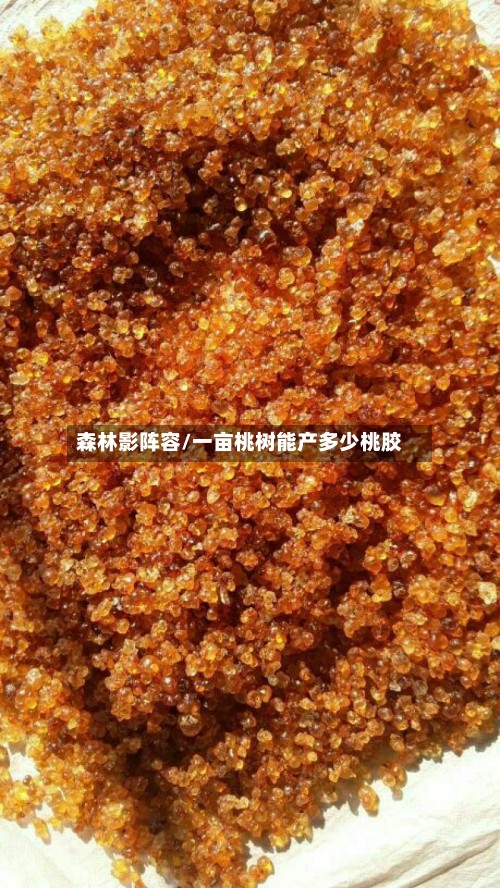 森林影阵容/一亩桃树能产多少桃胶-第3张图片
