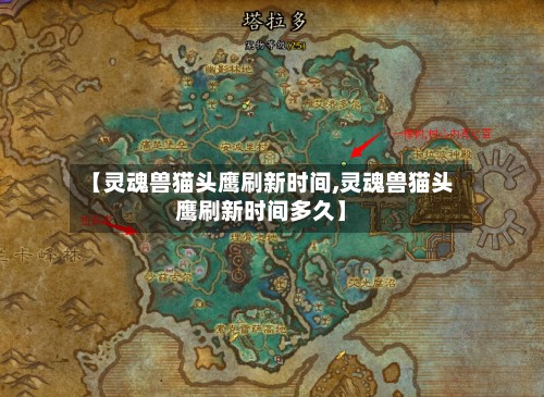 【灵魂兽猫头鹰刷新时间,灵魂兽猫头鹰刷新时间多久】-第2张图片