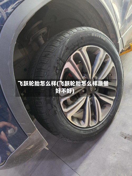 飞跃轮胎怎么样(飞跃轮胎怎么样质量好不好)-第2张图片