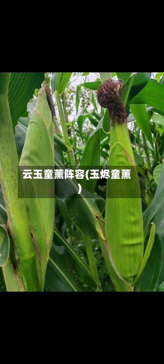云玉童薰阵容(玉烬童薰)-第3张图片
