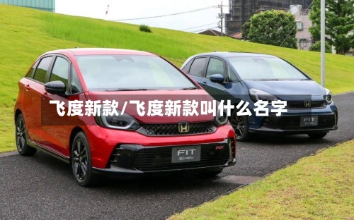 飞度新款/飞度新款叫什么名字-第2张图片