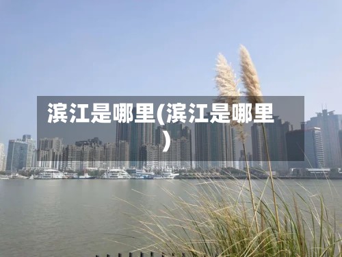 滨江是哪里(滨江是哪里)