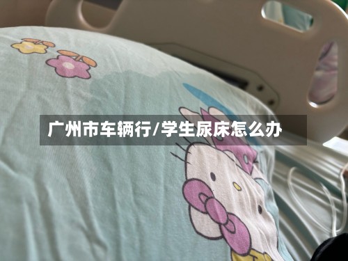 广州市车辆行/学生尿床怎么办-第2张图片