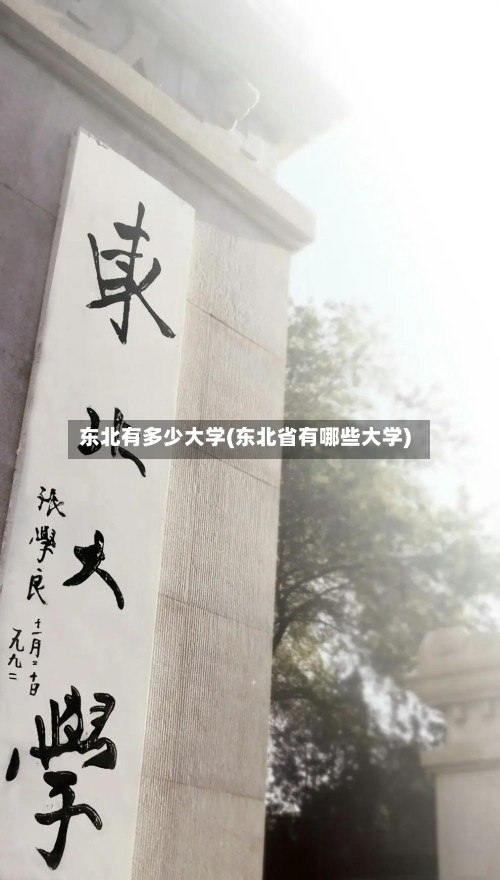 东北有多少大学(东北省有哪些大学)