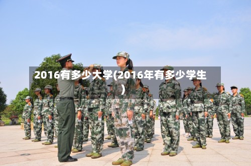 2016有多少大学(2016年有多少学生)-第3张图片