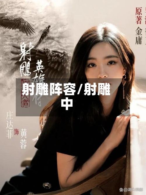 射雕阵容/射雕中-第2张图片