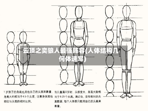 云顶之奕狼人最强阵容(人体结构几何体速写)