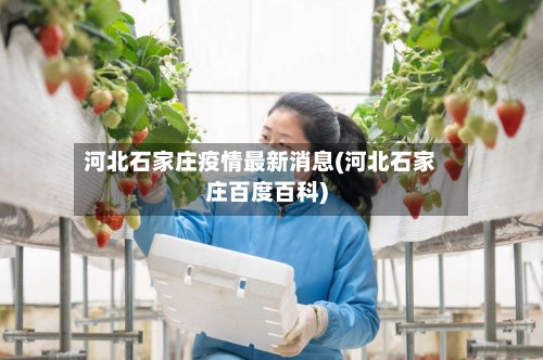 河北石家庄疫情最新消息(河北石家庄百度百科)-第2张图片