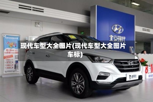 现代车型大全图片(现代车型大全图片车标)