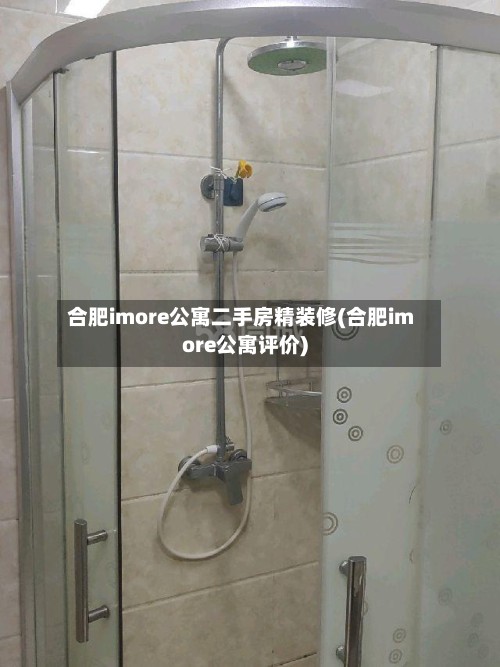 合肥imore公寓二手房精装修(合肥imore公寓评价)