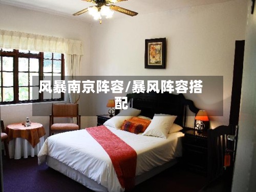 风暴南京阵容/暴风阵容搭配