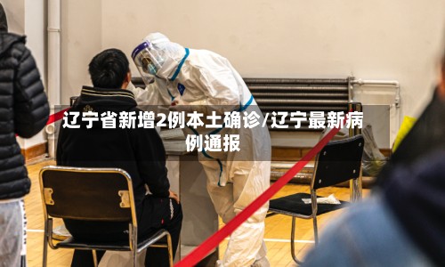 辽宁省新增2例本土确诊/辽宁最新病例通报-第2张图片