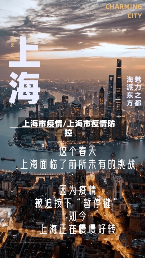 上海市疫情/上海市疫情防控
