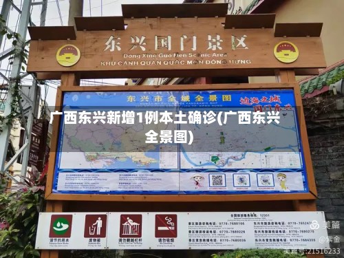 广西东兴新增1例本土确诊(广西东兴全景图)
