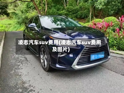 凌志汽车suv费用(凌志汽车suv费用及图片)