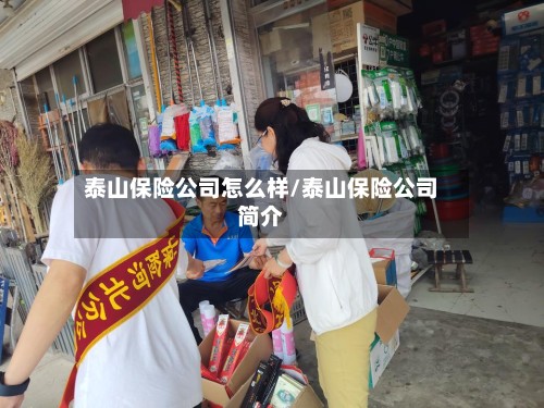 泰山保险公司怎么样/泰山保险公司简介